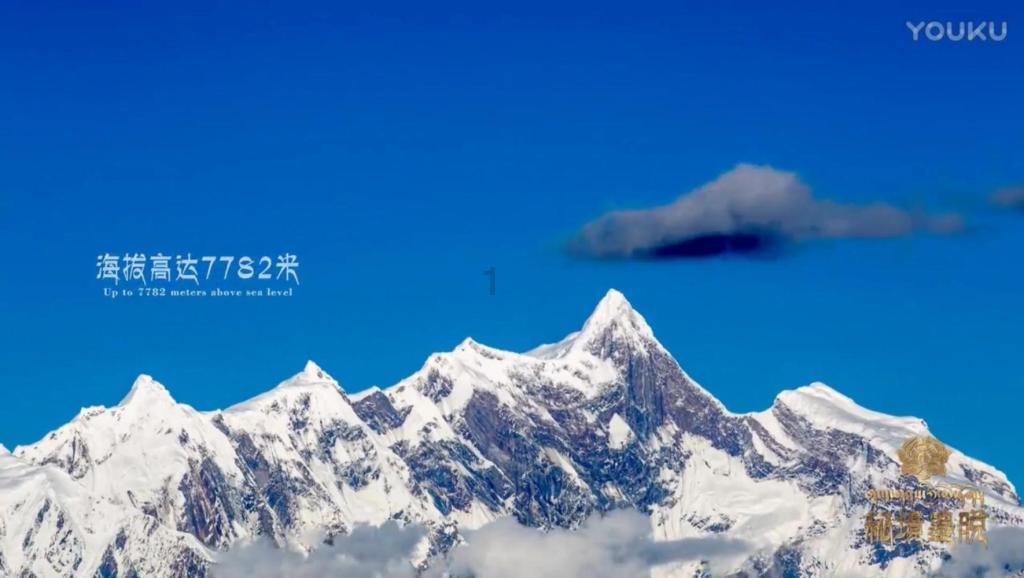 88影视